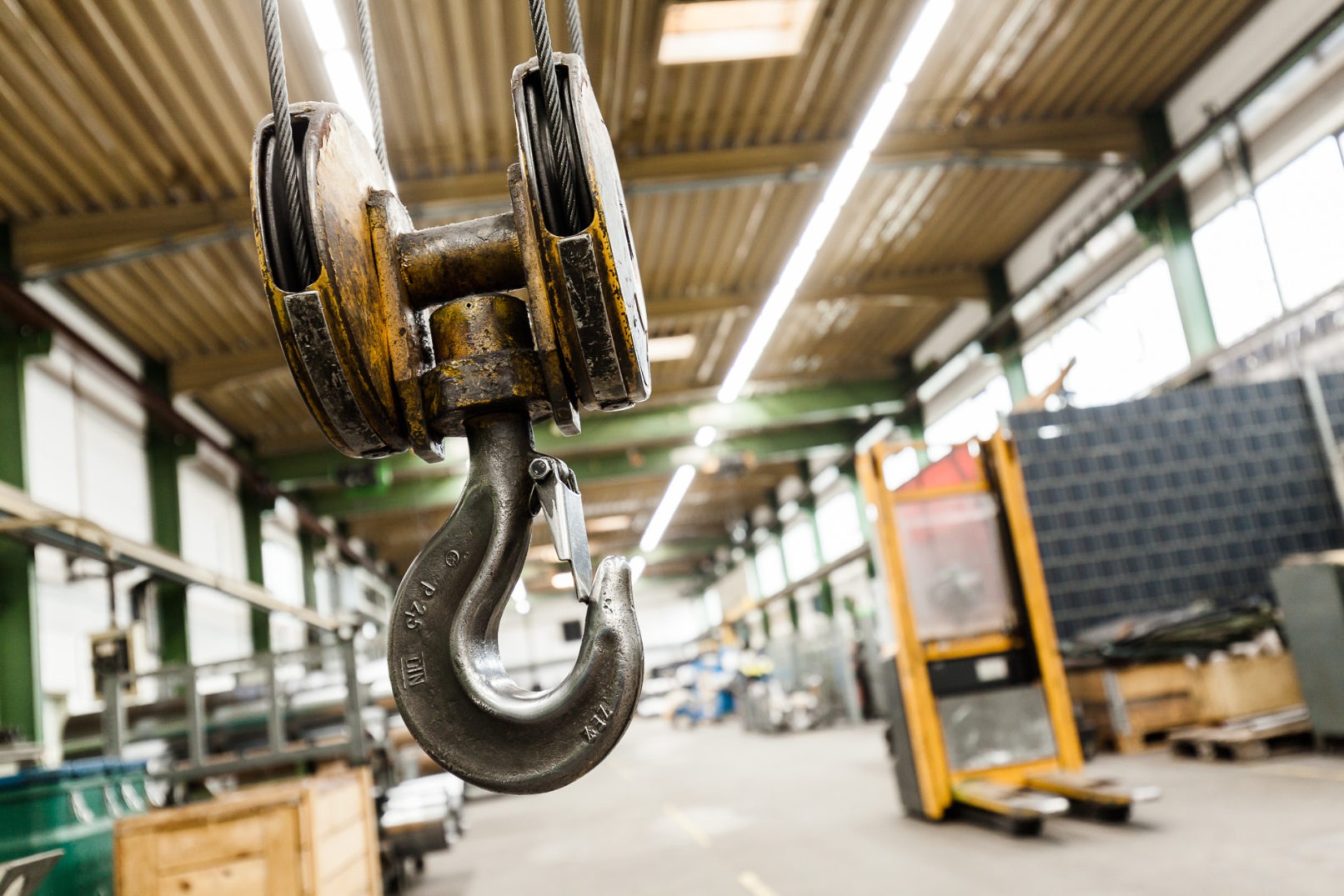 Inseco Ahaus - Edelrot Fotografie