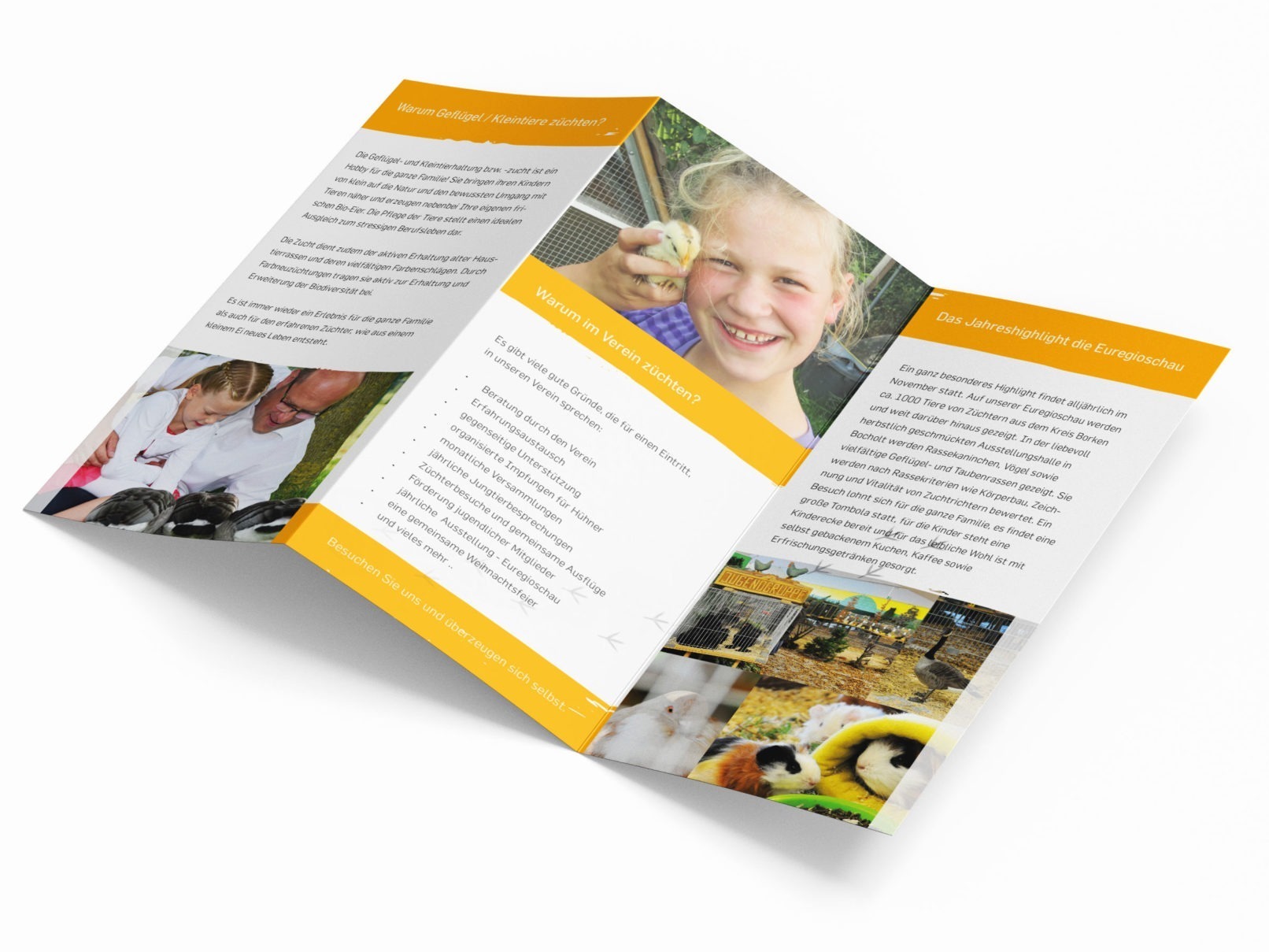 Kleintierzuchtverein Euregio Aalten - Bocholt Flyer